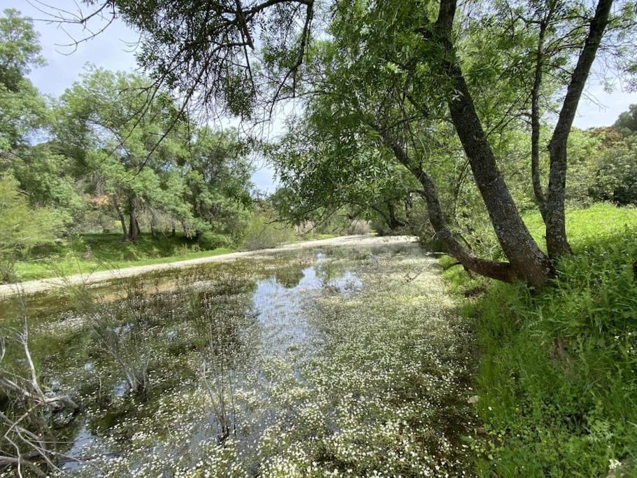 Finca La Alcolehuela En Parque Natural De Despenaperros Santa Elena Buitenkant foto