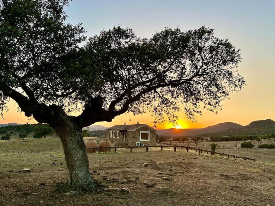 Finca La Alcolehuela En Parque Natural De Despenaperros Santa Elena Buitenkant foto