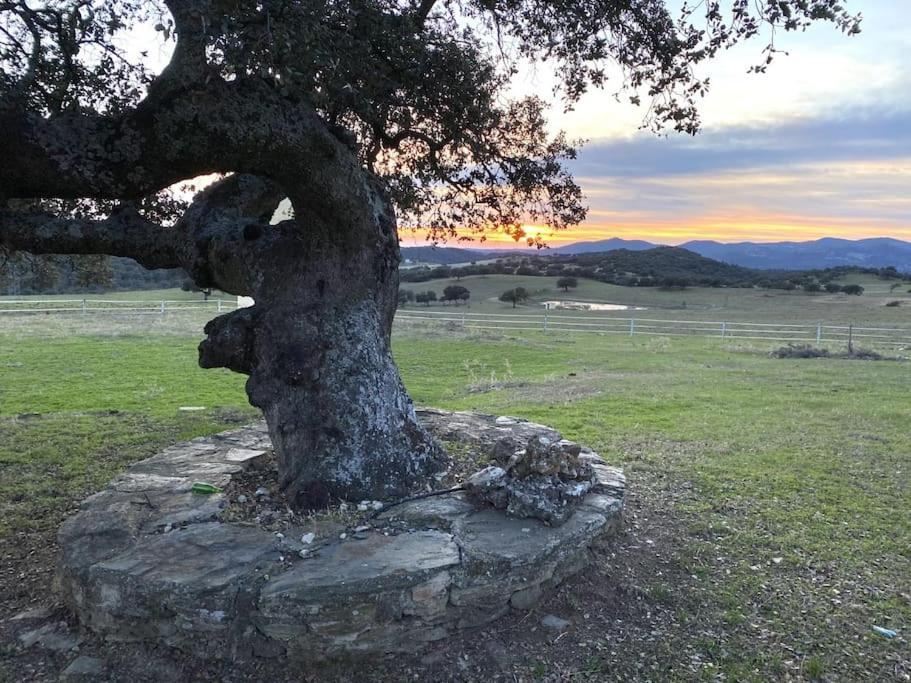 Finca La Alcolehuela En Parque Natural De Despenaperros Santa Elena Buitenkant foto